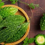 Bitter Melon