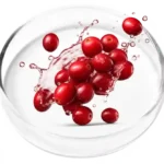 Cranberry Extract