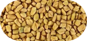Fenugreek