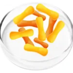 Lactobacillus Cassei