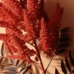 Sumac Extract