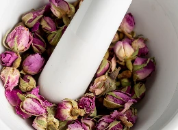 Peony Root Extract