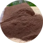 Pygeum Africanum Powder