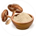Shiitake