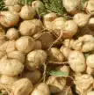PrimalTRT Ingredient 4