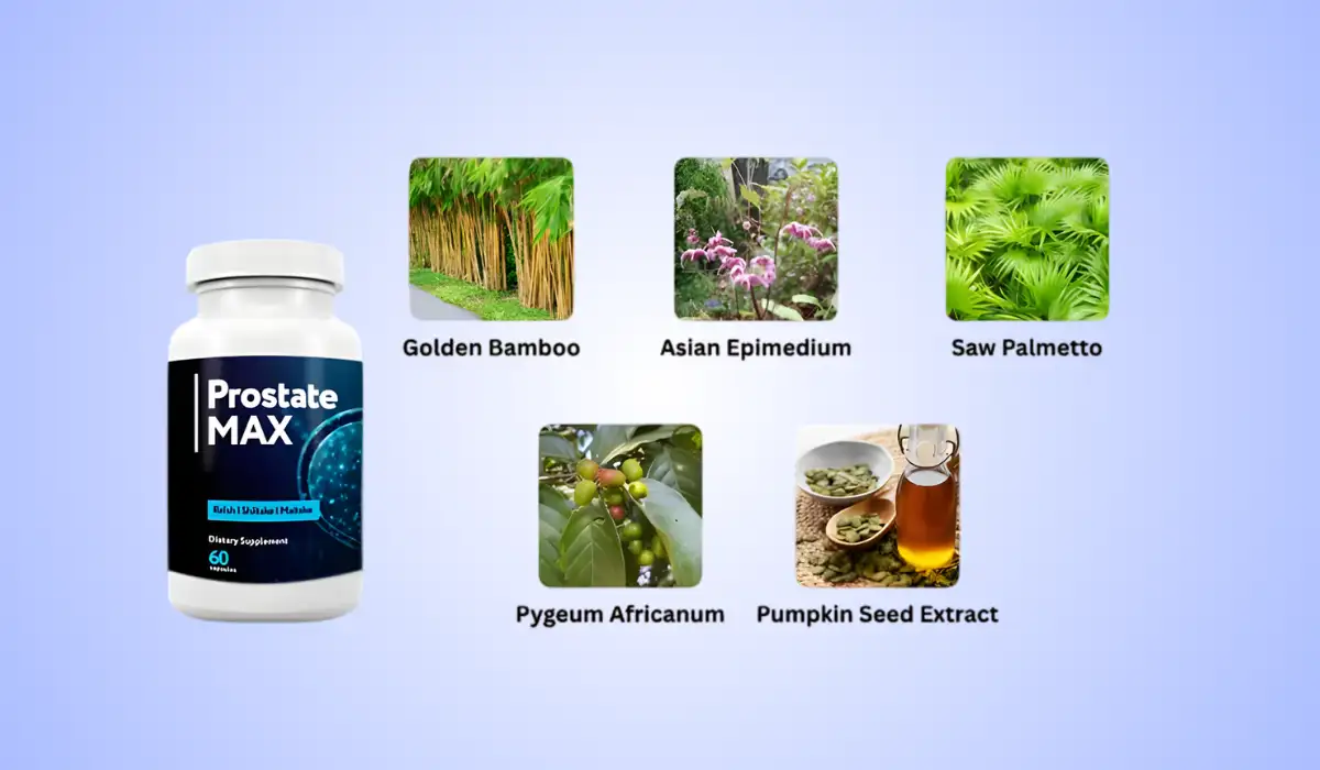 Prostate Max Ingredients